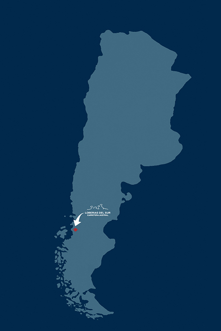 Where is Loberias del Sur Hotel