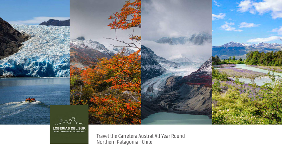 Loberias del Sur Patagonia Brochure